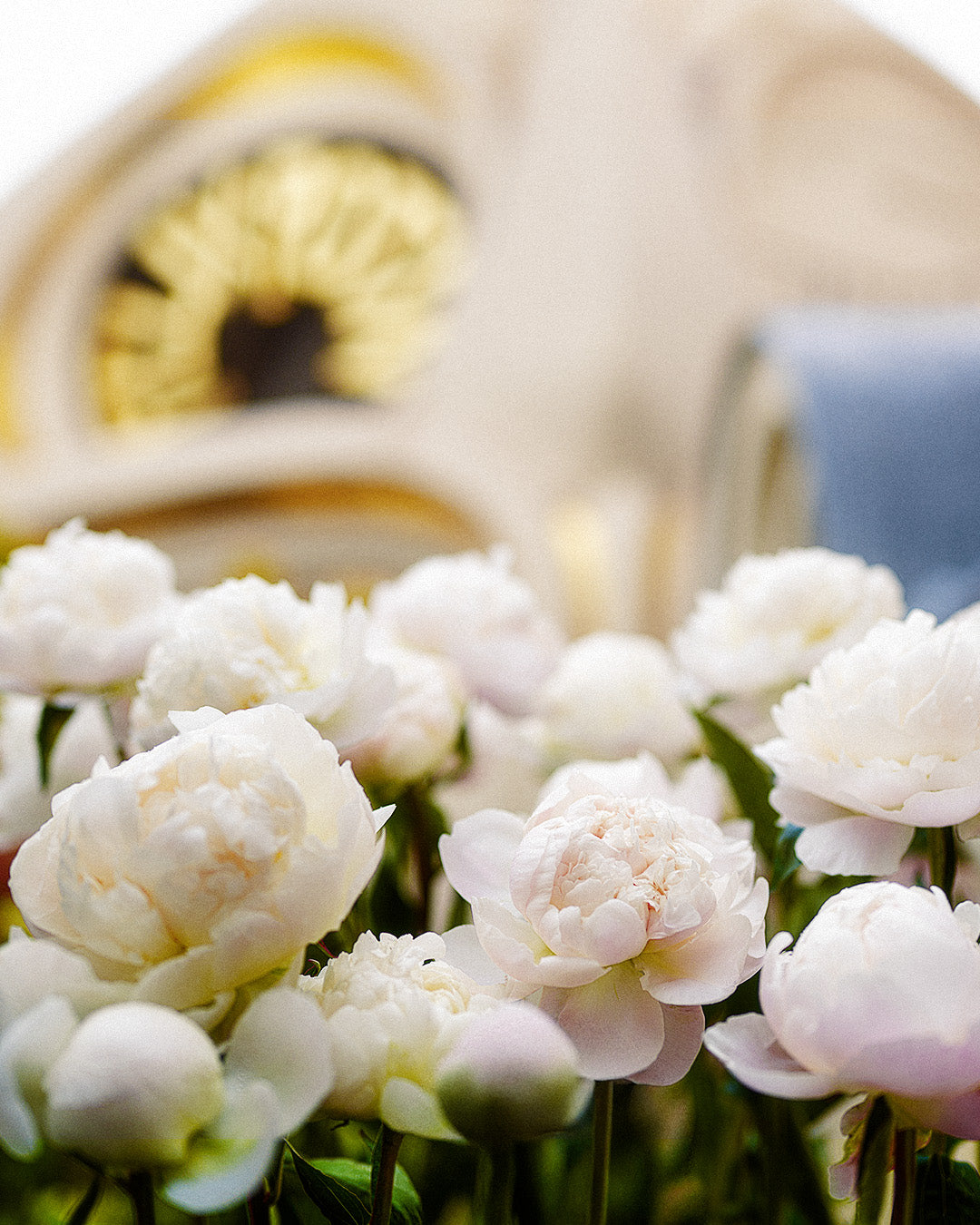 Le dôme de Joséphine Paris est un refuge dédié à l'inspiration et au savoir-faire
